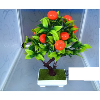 Cây đào trang trí tết
