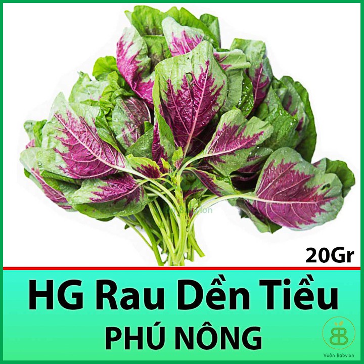 Hạt Giống Rau Dền Tiều 20Gr Rất Dễ Trồng, Bổ Dưỡng