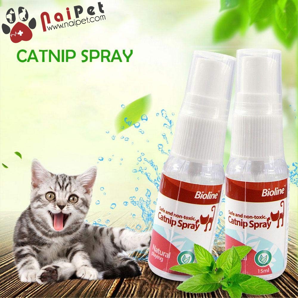 Catnip Dạng Xịt Cỏ Bạc Hà Dạng Xịt Cho Mèo Catnip Spray Bioline 15ml