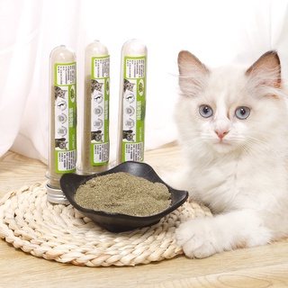 Cỏ Bạc Hà Catnip Cho Mèo