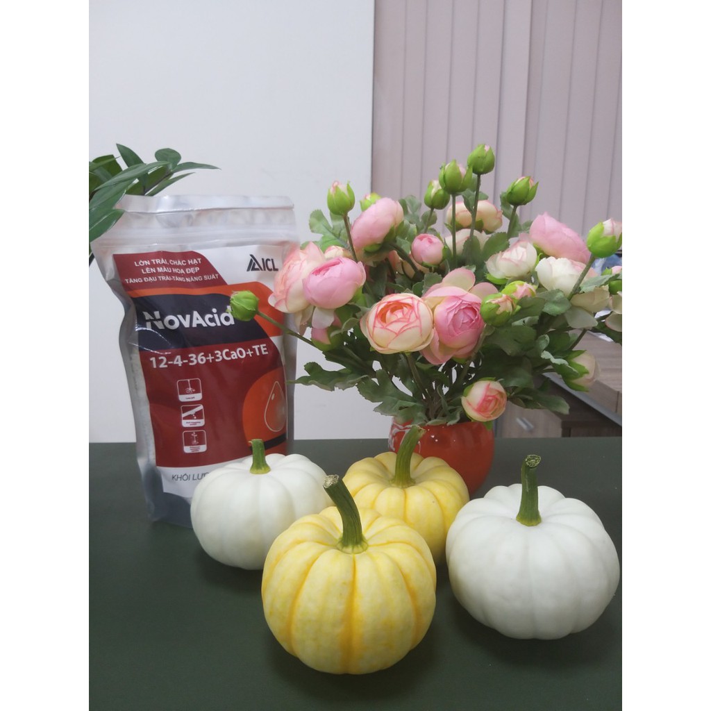 Phân bón Rau Hoa NPK 12-4-36+2.1Ca+TE _Israel