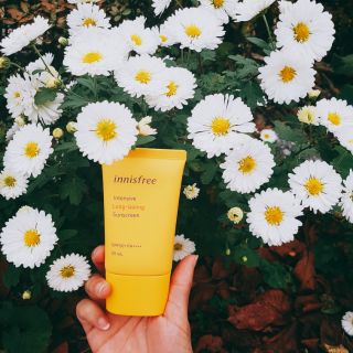 Kem chống nắng innisfree 50ml