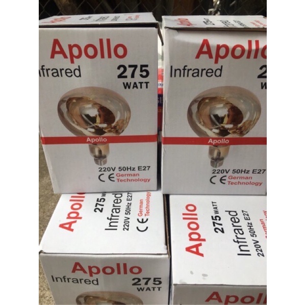 Bòng đèn hồng ngoại sưởi ấm cho thú cưng Sao Việt / Dịch Tông