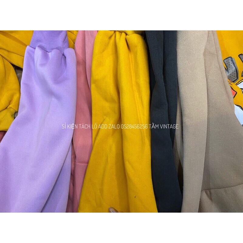 ✅ÁO NỈ MŨ SIÊU TO ĐỘC QUYỀN TẰM VINTAGE | BigBuy360 - bigbuy360.vn