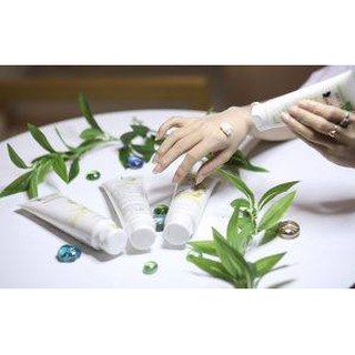 Sữa Rửa Mặt Nhân Sâm (Dành Cho Da Dầu) Laaskin ( An toàn tuyệt đối không chứa corticoid)