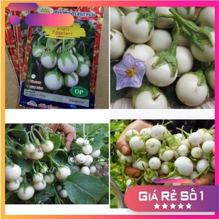 2 gram - Hạt giống cà pháo trắng F1 cao sản Thái Lan - HGNK