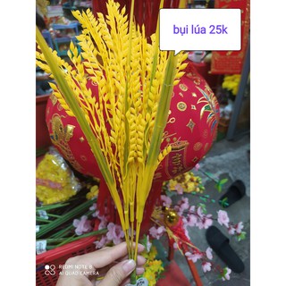 Bụi cây bông lúa vàng trang trí tết, cắm bình hoa
