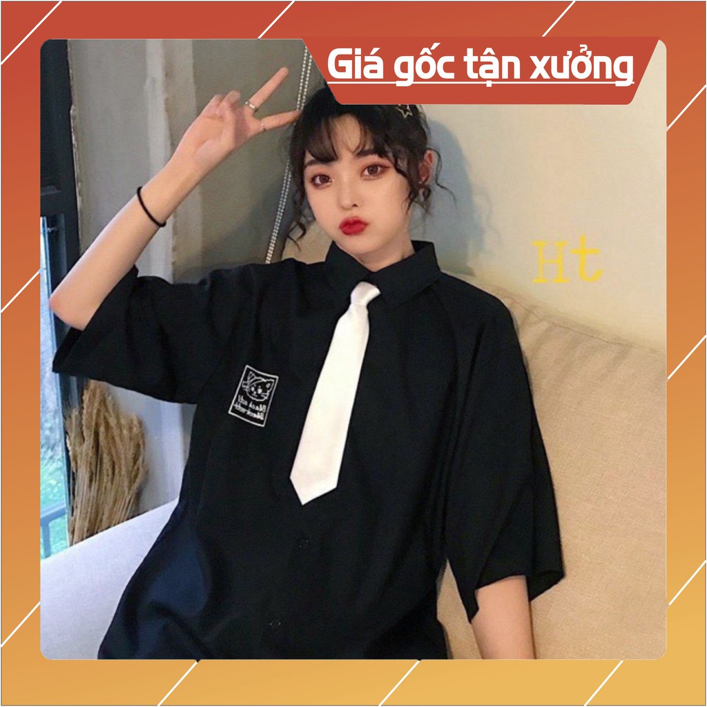 Áo sơ mi mèo băng đầu HT12