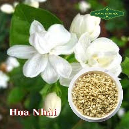 Trà Thảo Mộc Hãng Hoàng Thảo Mộc giúp an thần ngủ ngon