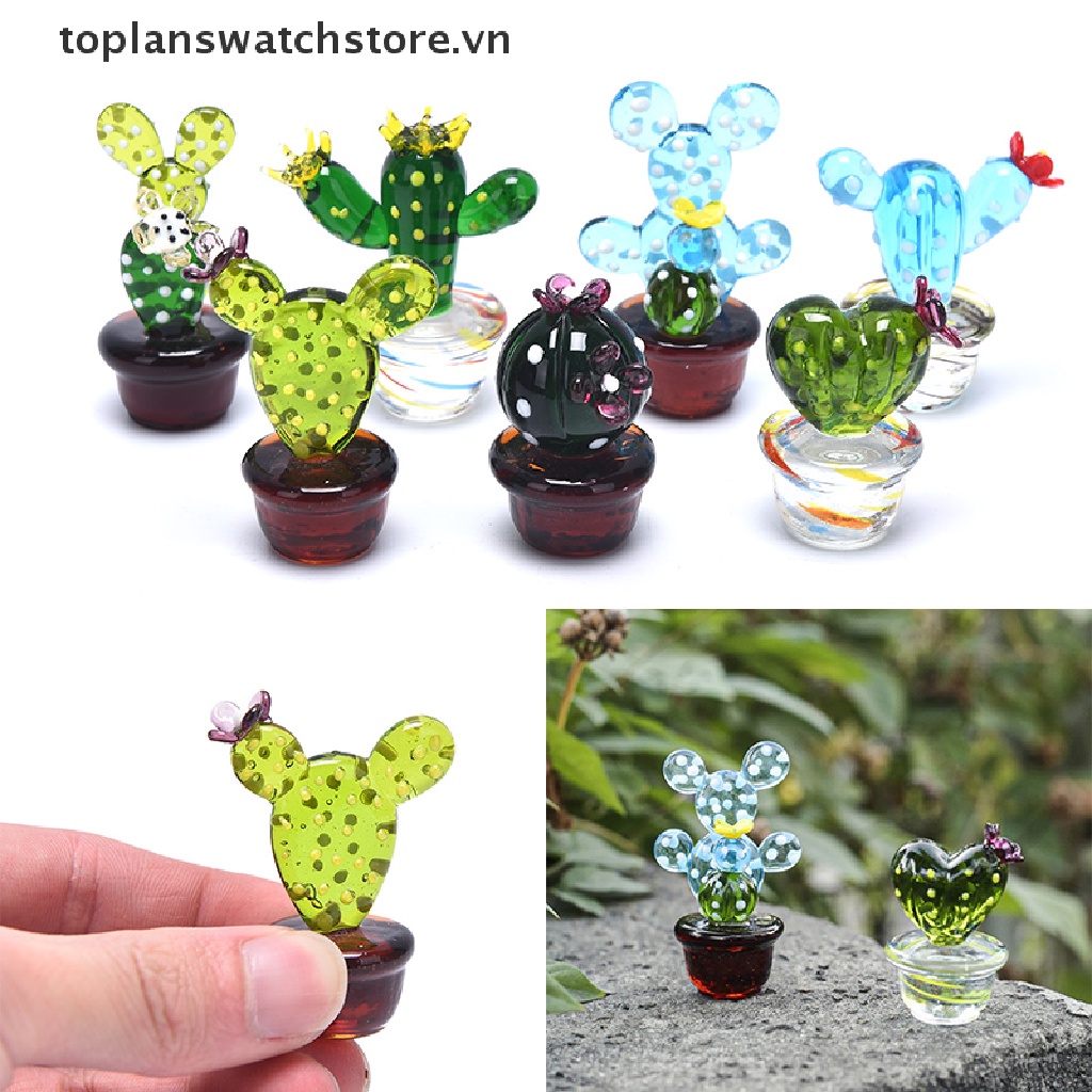 Cây Xương Rồng Mini Bằng Kính Để Bàn Trang Trí Nhà Cửa