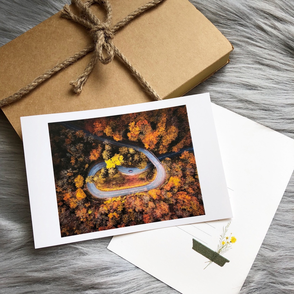 Postcard, Thiệp chúc mừng, Tranh trang trí BST mùa Thu  kèm bao thư Kraft