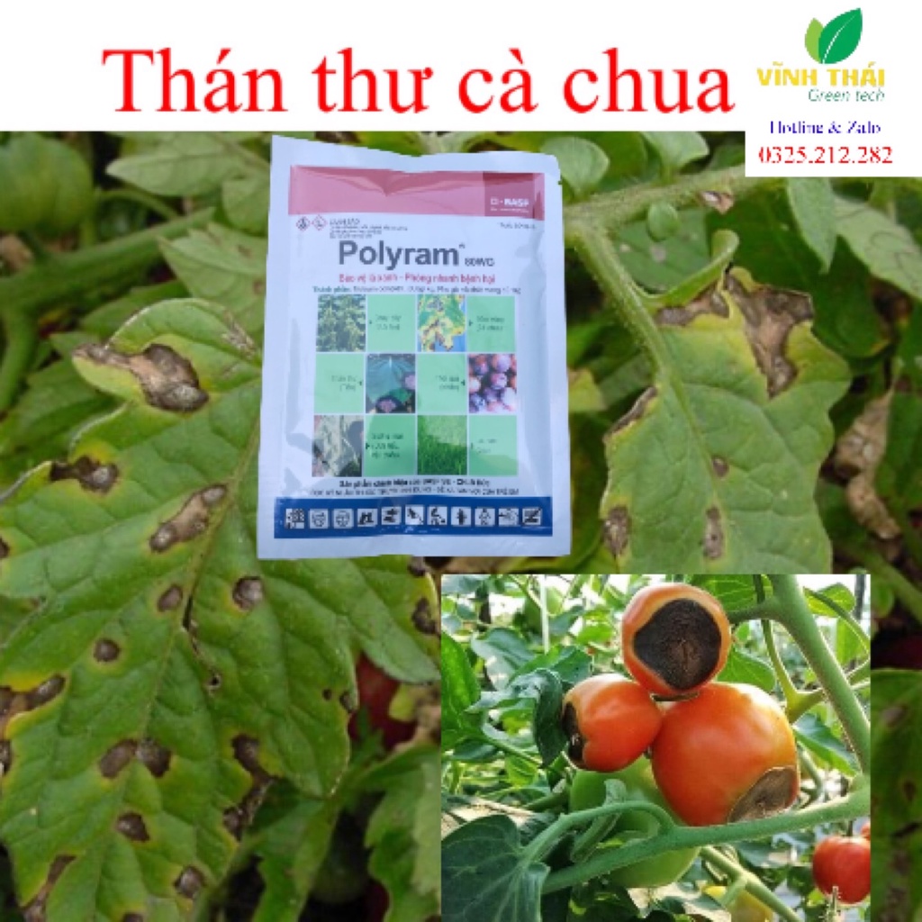 Chế phẩm Polyram 80WG 100g xử lý nấm bệnh Vàng lá, thán thư, đốm lá hại dâu tây, cà chua, hoa hồng, hoa lan, dưa lưới