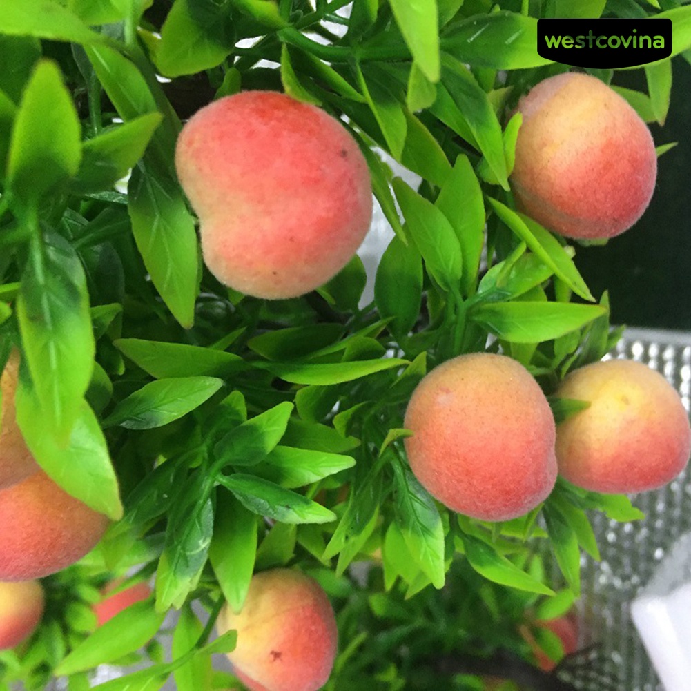 1 chậu cây bonsai hình trái đào dùng trang trí bàn
