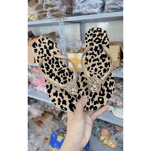 Dép xỏ ngón Havaianas hoạ tiết beo