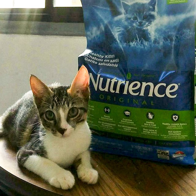 Thức Ăn Cho Mèo Kitten Nutrience Original Bao 2,5kg - Thịt Gà, Rau Củ &Trái Cây Tự Nhiên