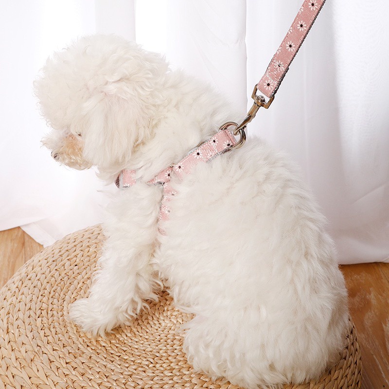 DÂY DẮT yếm 1.5cm cho chó mèo lớn