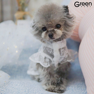 Đầm cổ tròn phối ren xinh xắn dành cho thú cưng