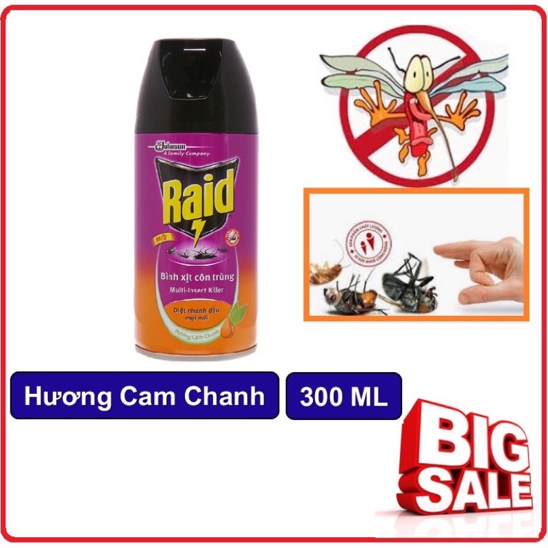 Bình xịt côn trùng Raid