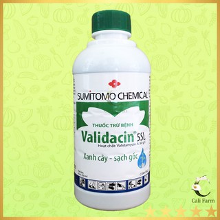 Thuốc trừ bệnh cây trồng Validacin 5SL 450ml