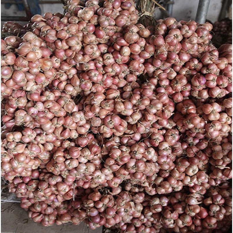 HÀNH KHÔ  LOẠI 1 ĐÃ CHON LỌC HẢI DƯƠNG