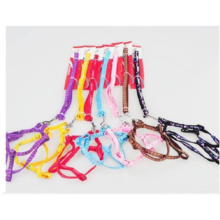 Dây xích yếm 2 lớp cho chó mèo