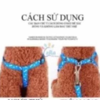 🔥🔥dây dắt chó mèo,vòng cổ polieste khá bền !!hợp lí hợp tình với dòng chó nhỏ