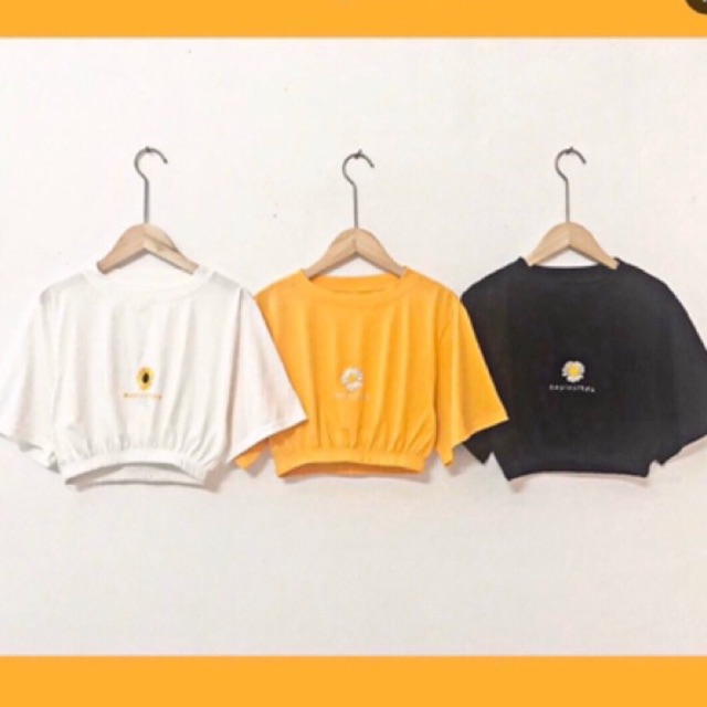Áo thun croptop thêu hoa cúc bo eo HÀNG Y HÌNH 100%