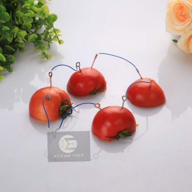 Bộ kĩ thuật phát điện bằng trái cây.
