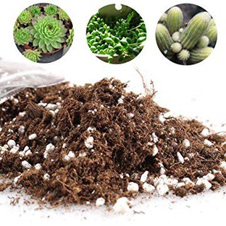 1Kg Đất trồng Sen đá, Xương rồng, Tai thỏ, Thạch Lan, cây cảnh