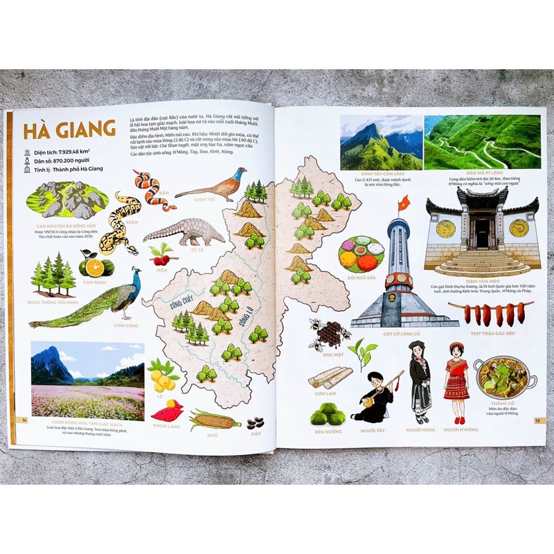 Sách-Đất nước gấm hoa - Atlas Việt Nam (Kỉ niệm 65 năm NXB Kim Đồng)