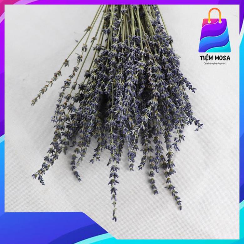 ❤️FREESHIP❤️Hoa Lavender khô nhập khẩu