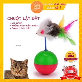 [Giá rẻ số 1] Đồ chơi cho mèo - Chuột lật đật - Đảo Chó Mèo