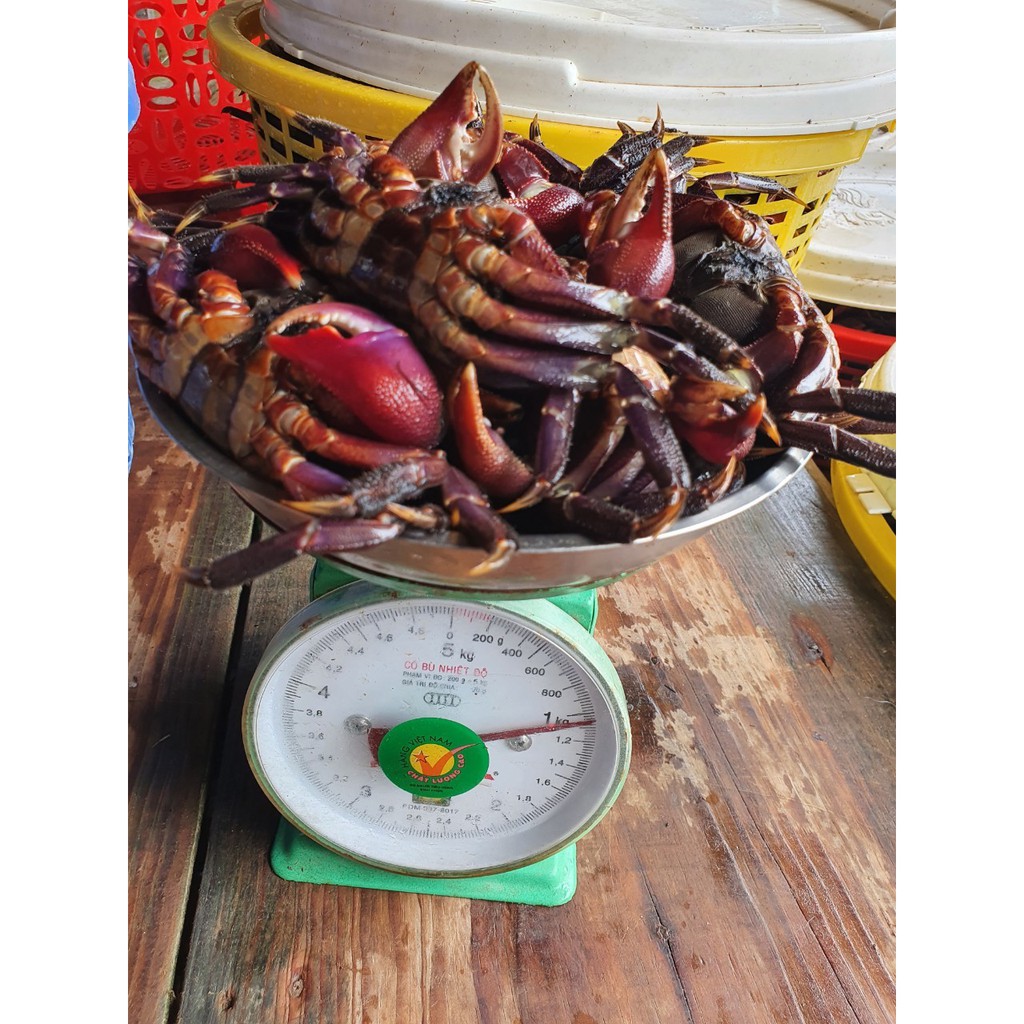 Mắm Ba Khía Nguyên Con chính gốc Rạch Gốc - Hàng lựa | BigBuy360 - bigbuy360.vn