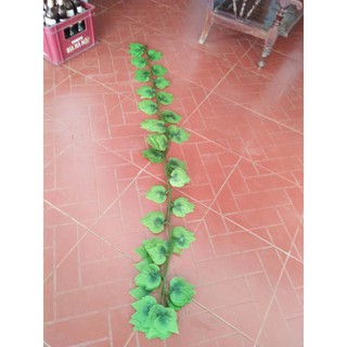 Combo 300 dây lá thường xuân Sỉ