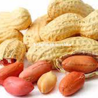 10 gram - hạt giống đậu phộng