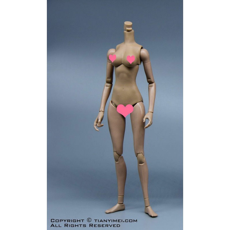Mô Hình Cơ Thể Phụ Nữ tianyi Tỉ Lệ 1 / 6 12 "