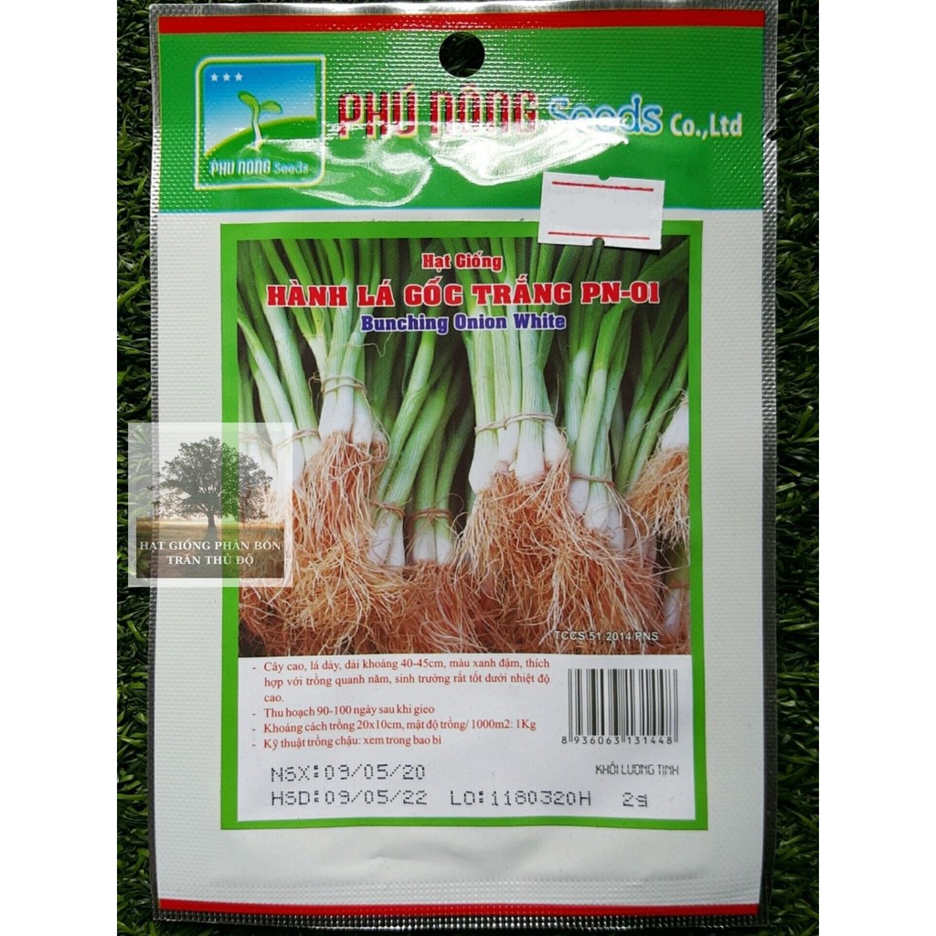 Hạt giống Hành lá gốc trắng Phú Nông