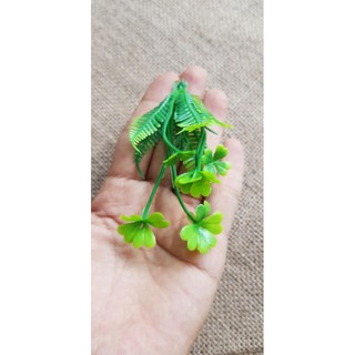 cỏ điểm 100gram