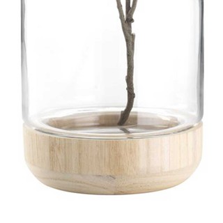 LỌ THỦY TINH JYSK REIDAR