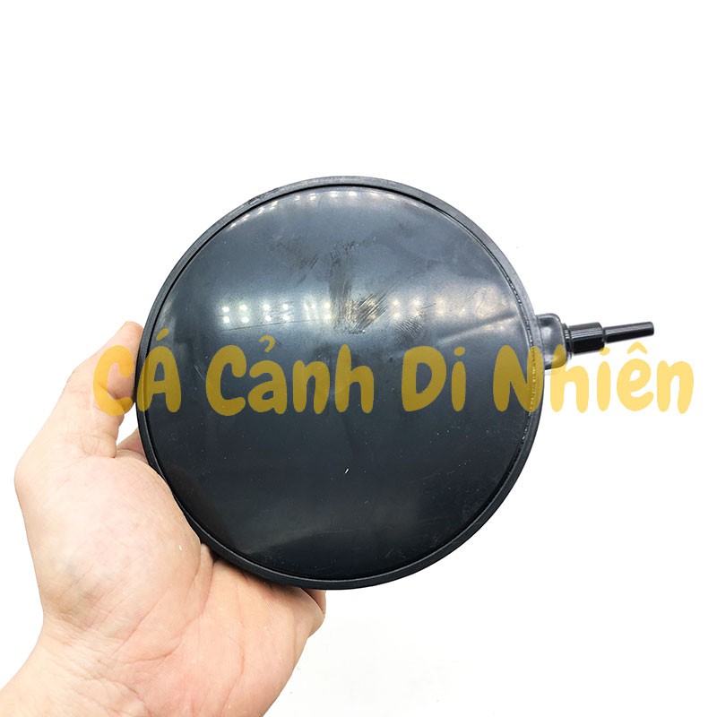 Sủi đĩa OXY ĐÀI LOAN siêu mịn đường kính 13 cm cho hồ cá cảnh