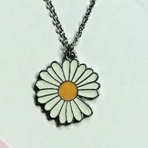 Vóng cổ inox không đen