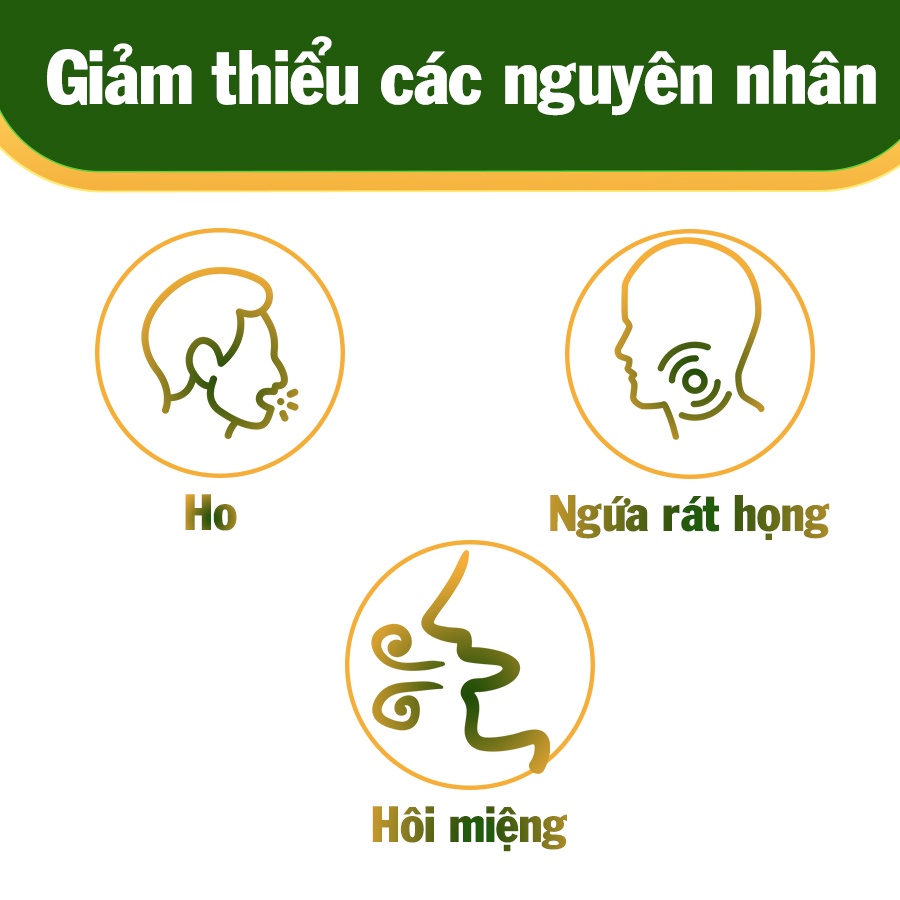 Combo 8 xịt họng keo ong Thanh Diệu Ngọc, hỗ trợ giảm ho, ngứa rát cổ họng, giảm triệu chứng viêm, đau họng