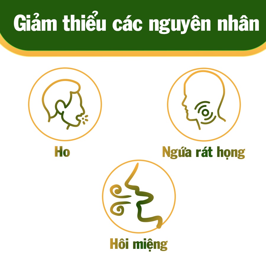 Combo 8 xịt họng keo ong Thanh Diệu Ngọc, hỗ trợ giảm ho, ngứa rát cổ họng, giảm triệu chứng viêm, đau họng