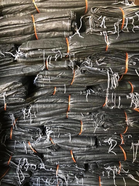 BAO TẢI DỨA XANH