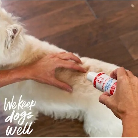 Kem kháng khuẩn làm lành vết thương DOGSWELL cho chó