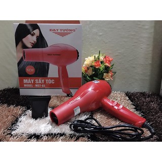 Máy Sấy Tóc Delites MST03