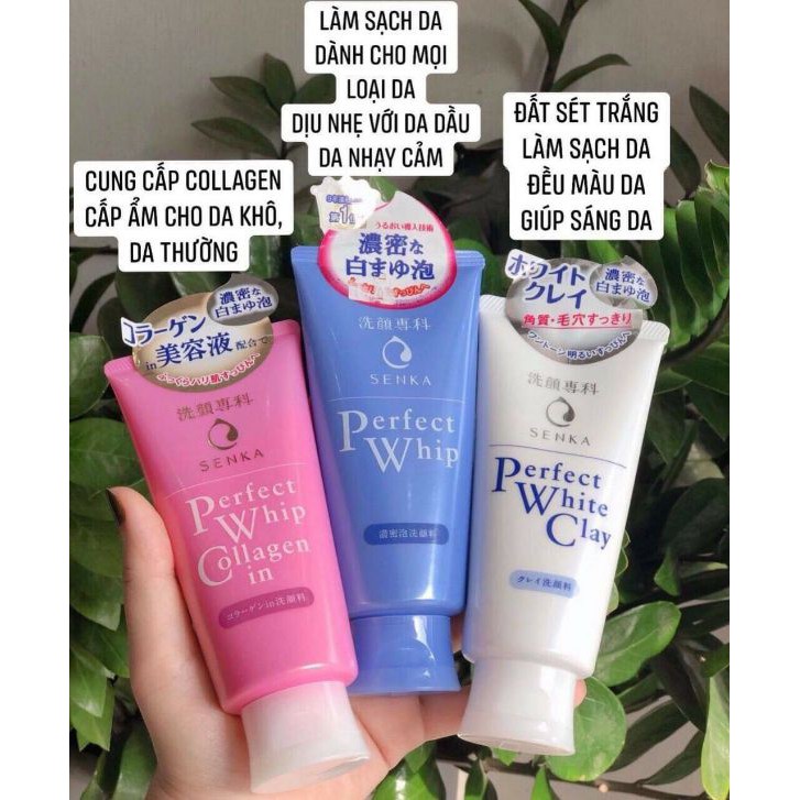 Sữa rửa mặt Perfect Nhật Bản