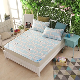 Chiếu điều hòa trải giường 160 cm