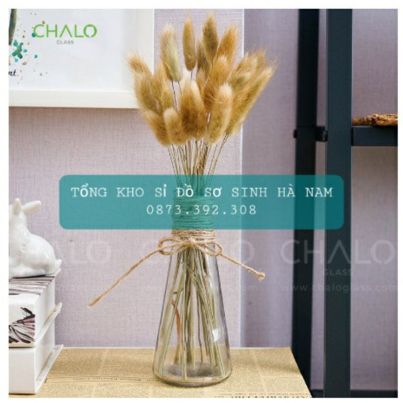 Cực Đẹp - Lọ Thủy Tinh Trang Trí Hình Tam Giác Eo Nhỏ 350ml