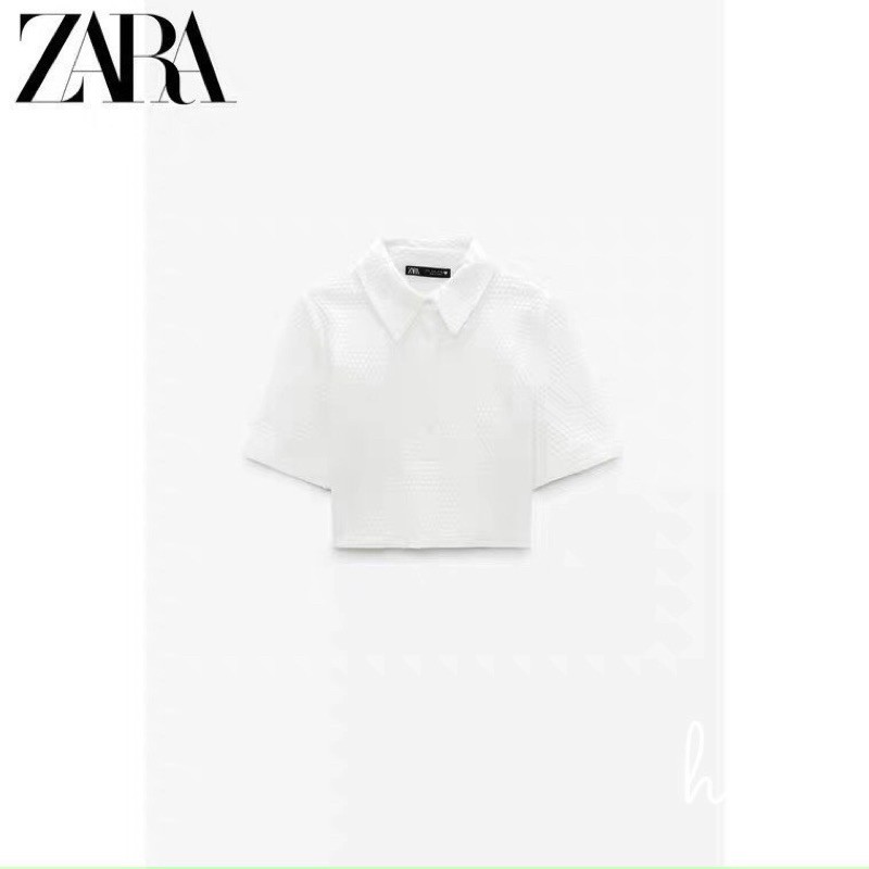 Áo polo croptop zara sịn